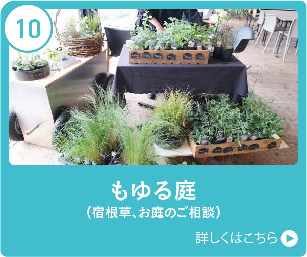 もゆる庭（宿根草、お庭のご相談）