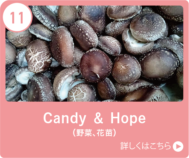 Candy ＆ Hope（野菜、花苗）