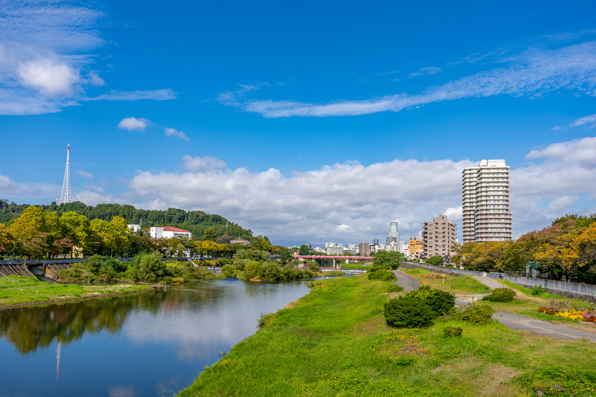 仙台市若林区の住みやすさは？交通・教育・暮らしの状況、おすすめ 